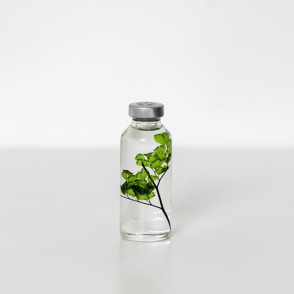 Bottle Plant / Adiantum tenerum / SPS_004 - Immerged Plant