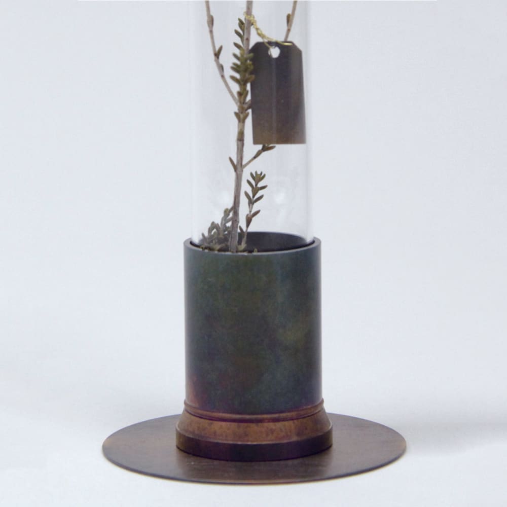 HERBARIUM BRASS GLASS DOME & FLOWER VASE RUST - Vase