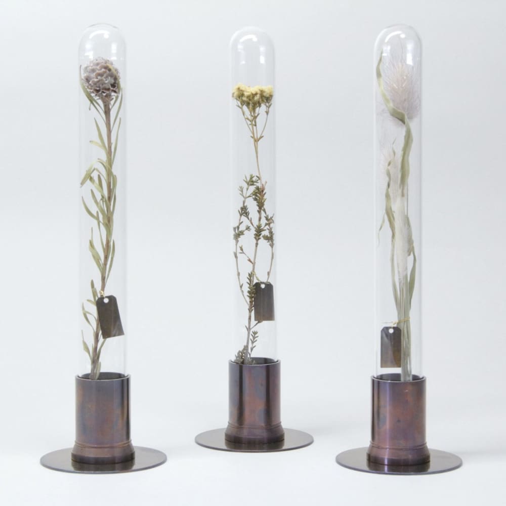 HERBARIUM BRASS GLASS DOME & FLOWER VASE RUST - Vase