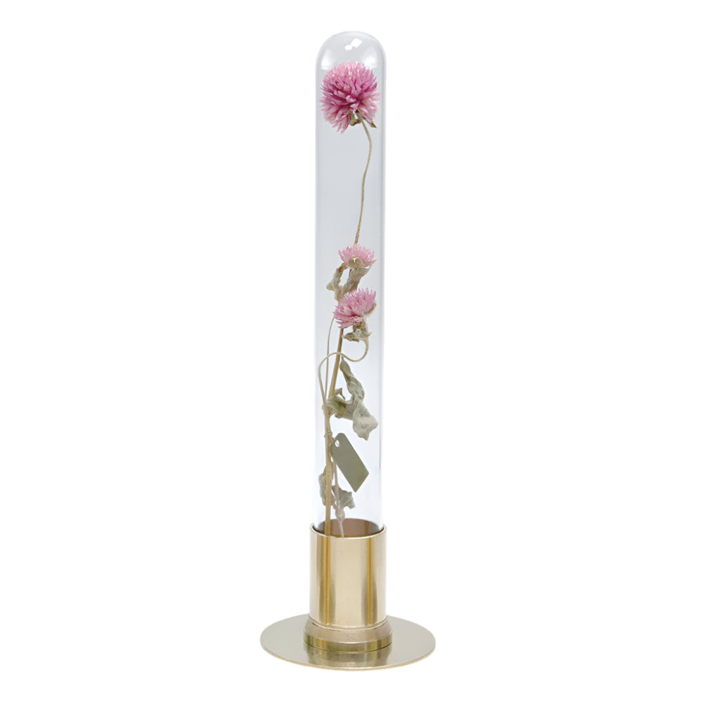 HERBARIUM BRASS GLASS DOME & FLOWER VASE SOLID - Vase