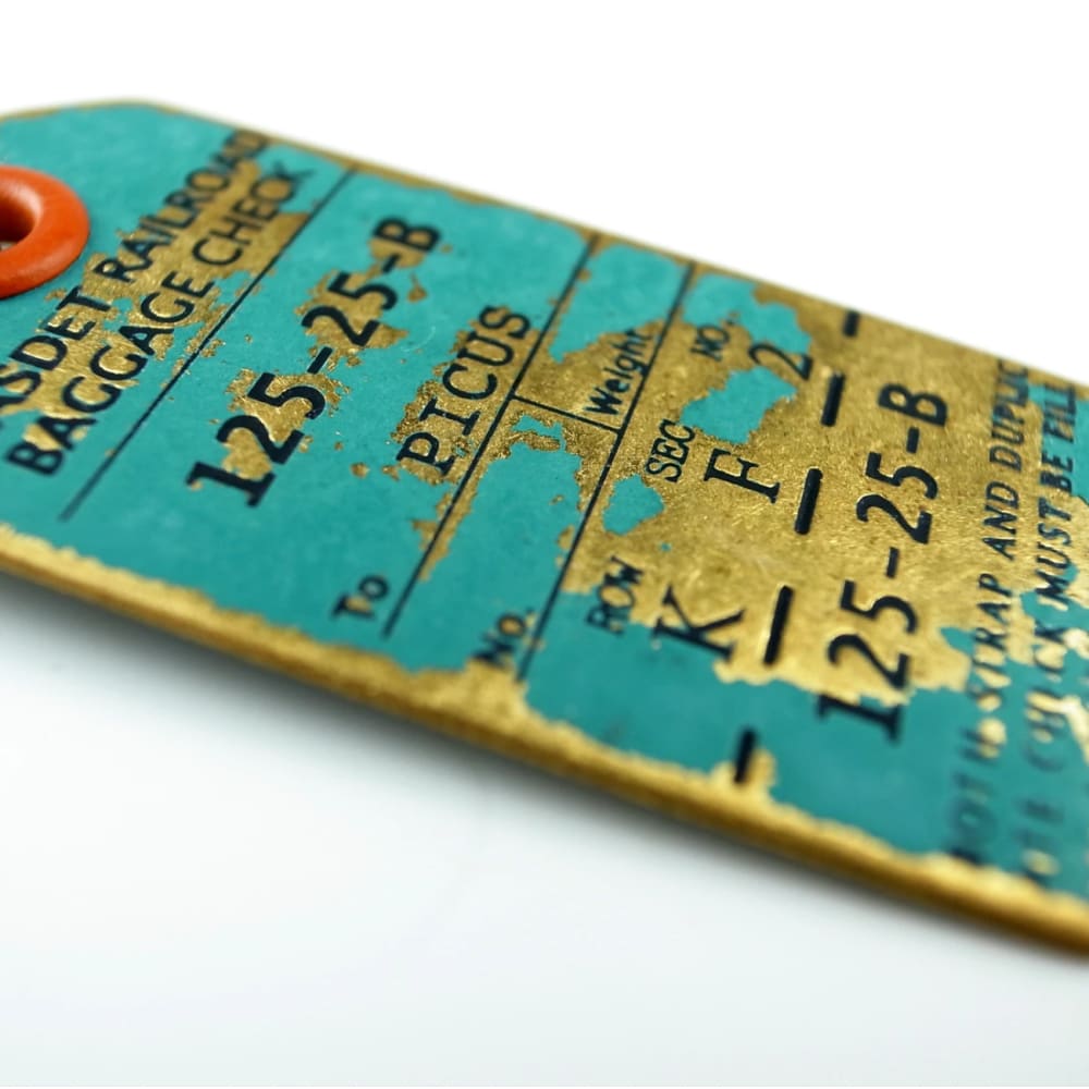 LUGGAGE TAG KEY-HOLDER ASH GREEN - Key Tag