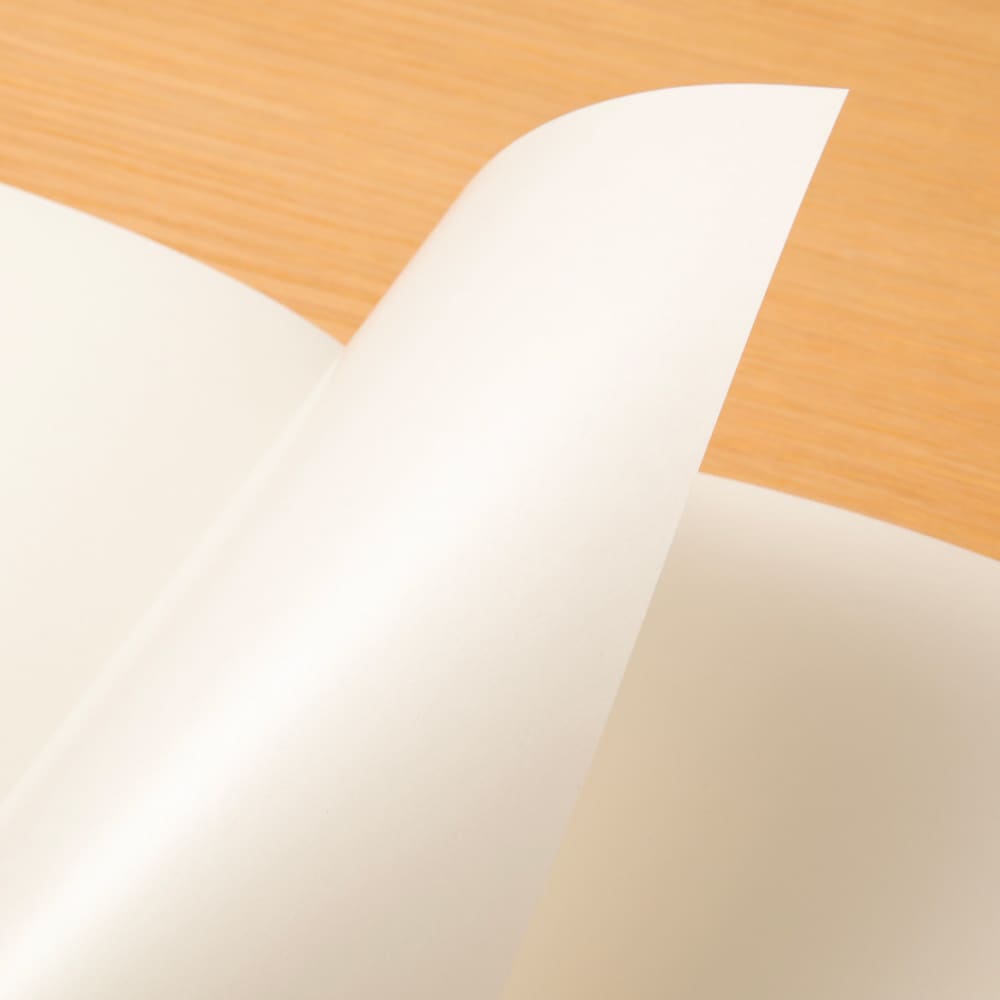 TRAVELER’S notebook Refill Sticker Release Paper - Paper