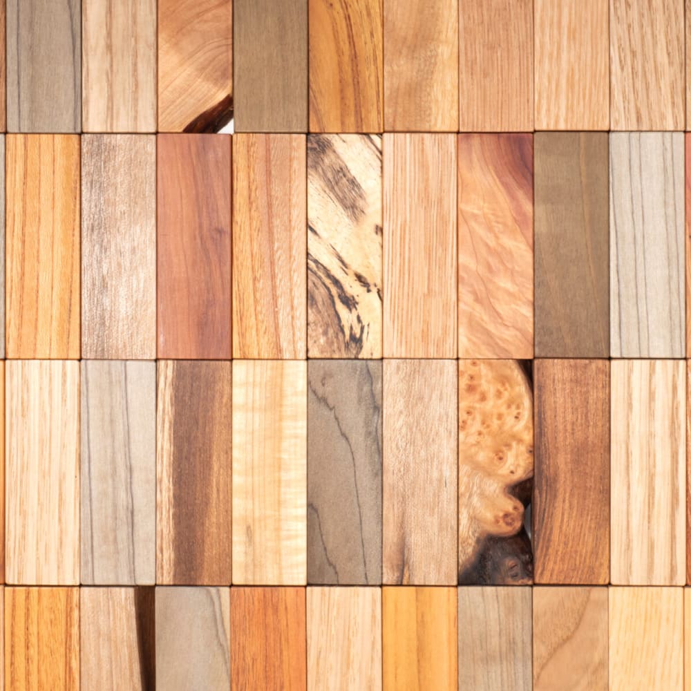 Building 101 - Est. 2025 - Other