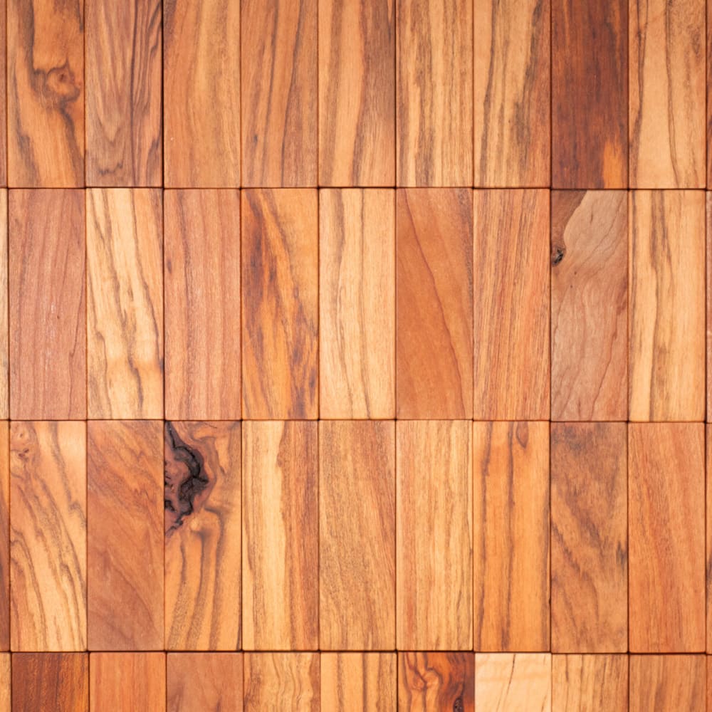 Building 101 - Est. 2025 - Other