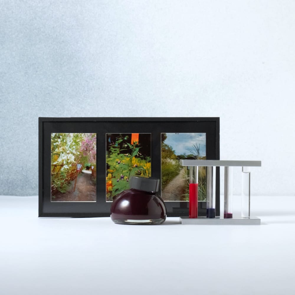 Colour specimen - Tunnel of Japanese clover - Ink