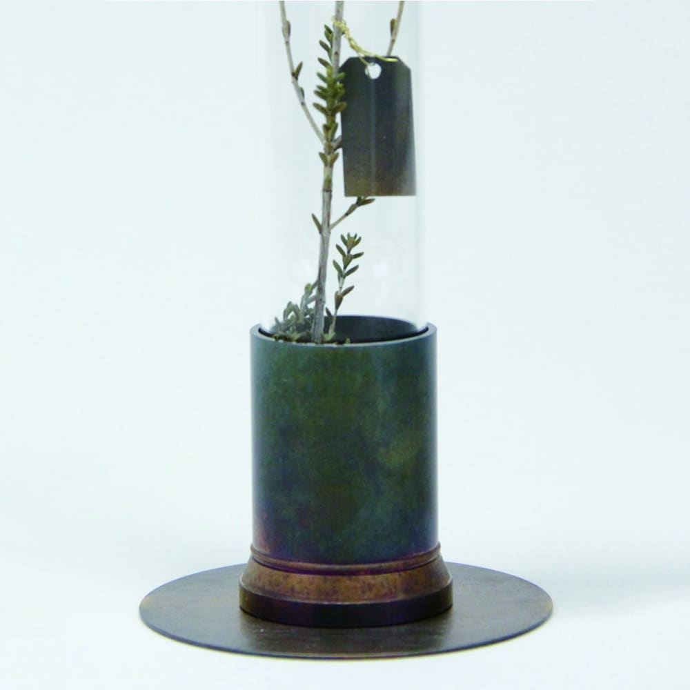 HERBARIUM BRASS GLASS DOME & FLOWER VASE RUST - Vase