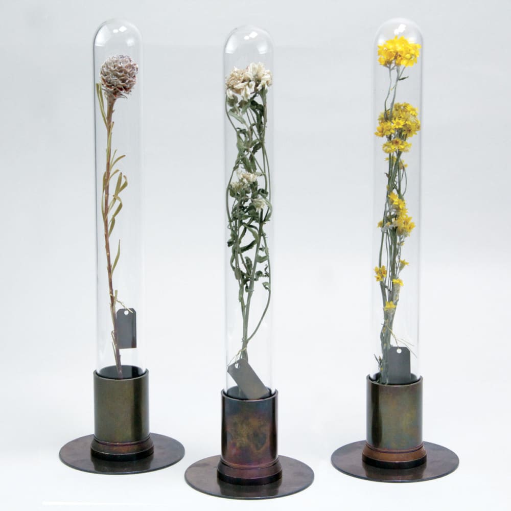 HERBARIUM BRASS GLASS DOME & FLOWER VASE RUST - Vase
