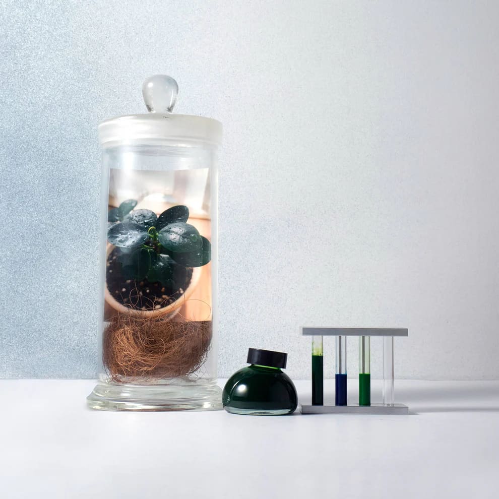 Limited Edition - Life - Ink